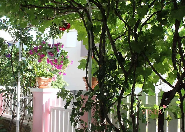 Apartman Povljana 1